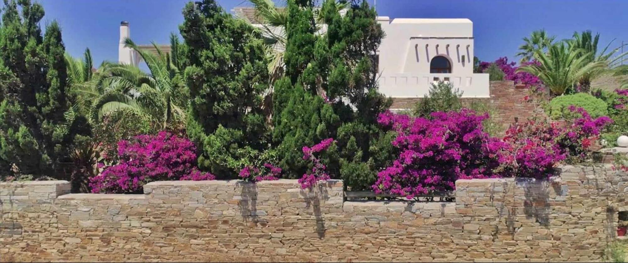 Villa Pari Manda Ágios Prokópios Extérieur photo